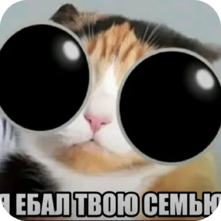 Telegram sticker 👍 куки @blogvitrax