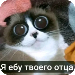 Telegram sticker 👍 куки @blogvitrax