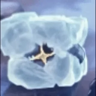 Video sticker 🌟 鸣言潮图3.0@Man5say :: @fStikBot