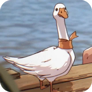 Video sticker 👍 عاچهار