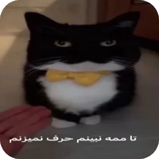 Video sticker 😀 مصارف شخصی اوربی