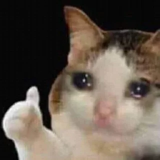 Telegram sticker 😿 مصارف شخصی اوربی