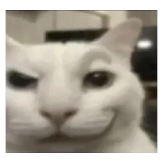 Video sticker 🫥 مصارف شخصی اوربی