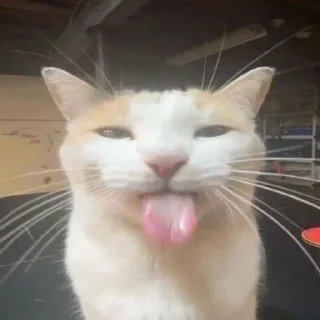 Video sticker 😝 مصارف شخصی اوربی
