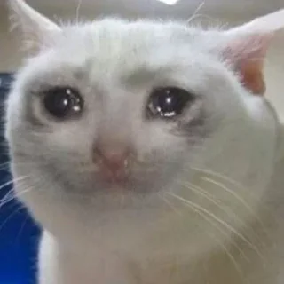 Telegram sticker 😿 مصارف شخصی اوربی