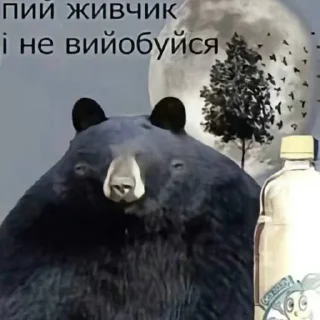 Video sticker 🥤 Українські наліпки 🇺🇦