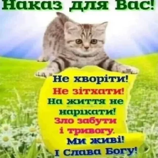 Telegram stiker 😇 Українські наліпки 🇺🇦