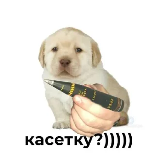 Sticker 😏 Українські наліпки 🇺🇦