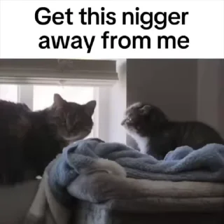 Video sticker 🙄 Hiro's racist pack