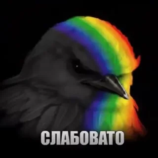 Telegram sticker 💪 Птiчкi @M0llysaze1 @stickrubot