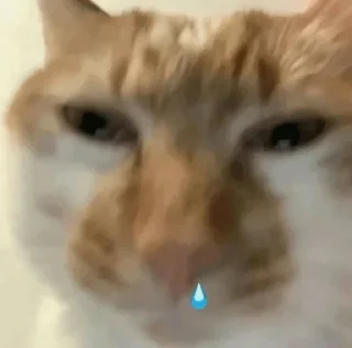 Telegram sticker 👾 24表情包 @phph8 基地 @ImperialPlazaResidence