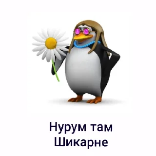 Telegram stiker 🤩 Nolchorskiee