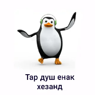 Telegram stiker 🙉 Nolchorskiee