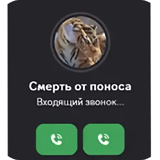 Телеграм стикер 🎡 Больше стикеров тут: @stekert