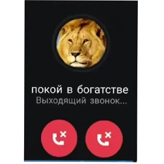 Video sticker 🐶 Больше стикеров тут: @stekert