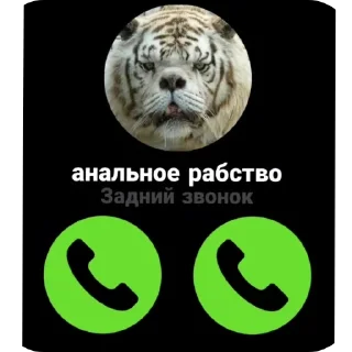 Телеграм стикер 🖼 Больше стикеров тут: @stekert