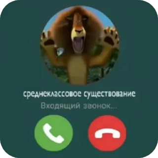 Video sticker 🐶 Больше стикеров тут: @stekert