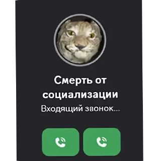 Телеграм стикер 🐱 Больше стикеров тут: @stekert