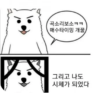 Telegram sticker 🐱 Make Korea Great Again