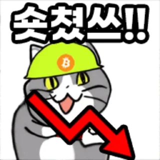 Video sticker 👇 Coin_cats