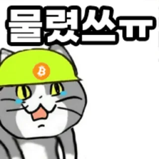 Telegram sticker 😭 Coin_cats
