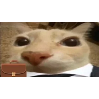 Video sticker 💼 otag's @KritPls