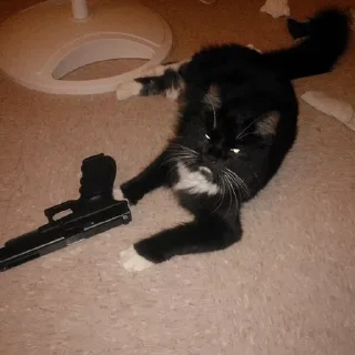 Telegram sticker 🔫 BO$$ by @fStikBot