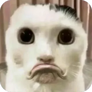 Telegram sticker ☹️ tiktok by @ckladstikerov7