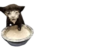 Video sticker 😩 Bbys / @emojis4 & @emojipipka