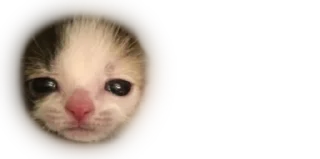 Telegram sticker ☹️ Bbys / @emojis4 & @emojipipka