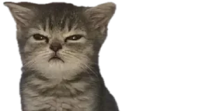 Telegram sticker 😑 Bbys / @emojis4 & @emojipipka