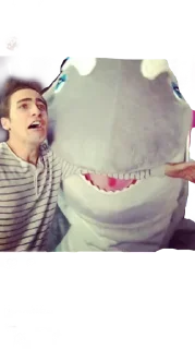 Telegram sticker 😵 Big time rush