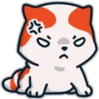 Video sticker 😡 marsey the cat