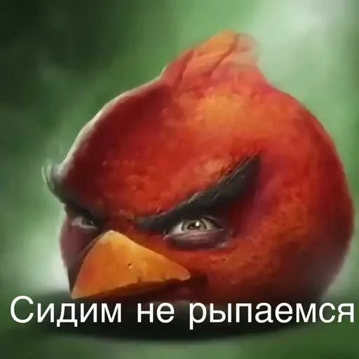 Sticker 😒 Скачать армяне