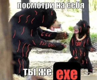 Telegram sticker 👀 Эксешники и очкошники