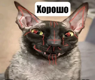 Telegram sticker 😸 Эксешники и очкошники