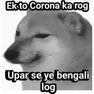 Телеграм стикер 🗿 Hiyoris kang pack