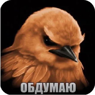 Video sticker 🐦 птички :: @fStikBot