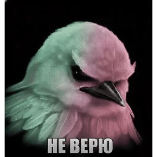 Telegram sticker 🌟 птички :: @fStikBot