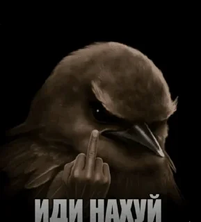 Sticker 🌟 птички :: @fStikBot