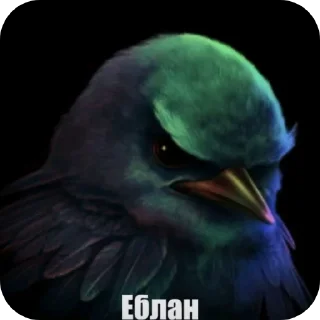 Video sticker 👍 птички :: @fStikBot