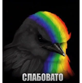 Telegram sticker 🌟 птички :: @fStikBot