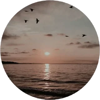 Telegram sticker 🌅 @wisdom_droplets 12 — @stckrRobot