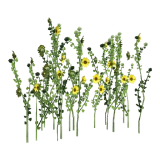 Telegram sticker 🌻 @wisdom_droplets 12 — @stckrRobot