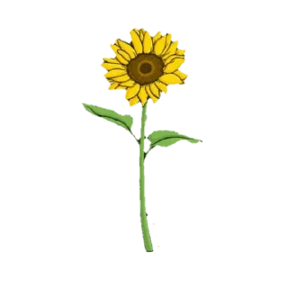Telegram sticker 🌻 @wisdom_droplets 12 — @stckrRobot
