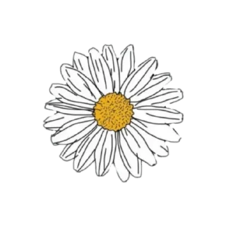 Telegram sticker 🌻 @wisdom_droplets 12 — @stckrRobot