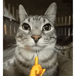 Video sticker 😊 instagram memes 2025