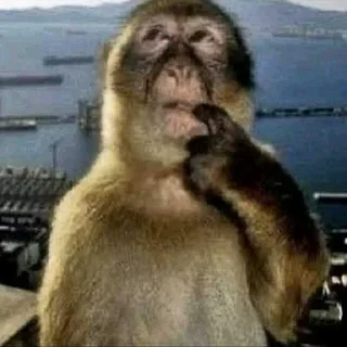 Telegram stiker 🥹 typeshi2 inst:947._0