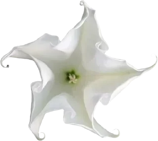 Telegram sticker 🤩 Больше стиков тут: @stikery4