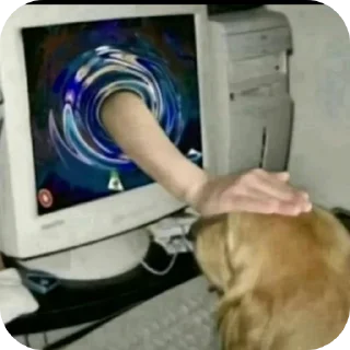 Video sticker 🥰 kys❤️